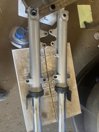Suzuki bandit front - front, forks
