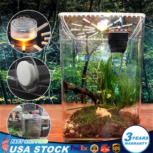 Large acrylic lizard vivarium - acrylic,