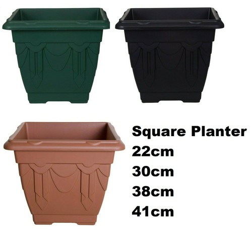 Venetian plant flower plastic - plant,