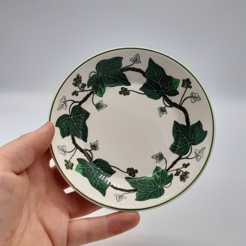 Wedgwood napoleon ivy - wedgwood, saucer