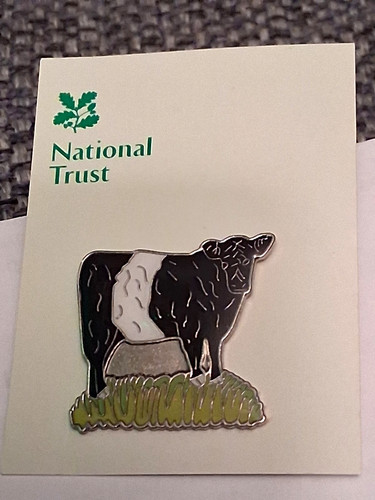 National trust boxhill belted - trust,