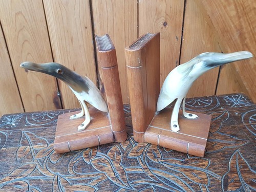 Vintage horn bird - , book