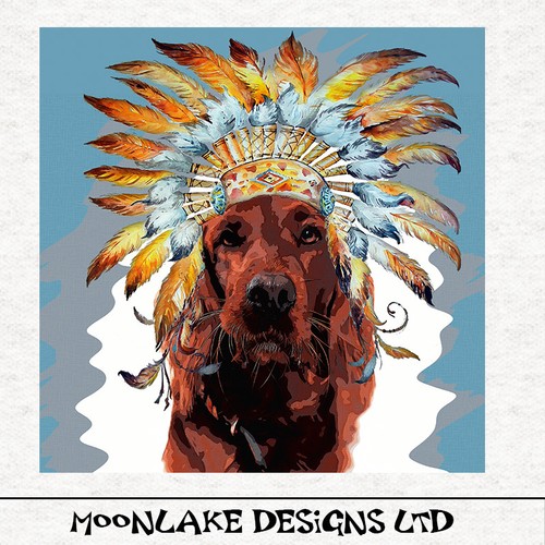 Dog red setter - setter, pop