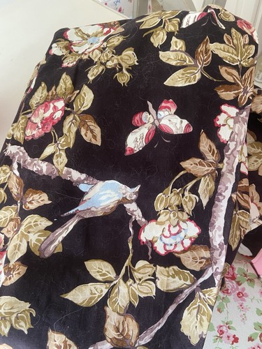 Sanderson next bird - sanderson, &