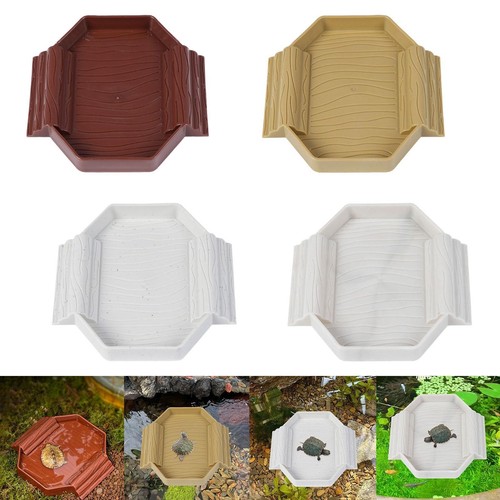 Tortoise water bowl - tortoise,