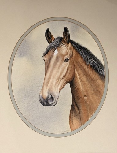 Vintage horse head - horse’s,