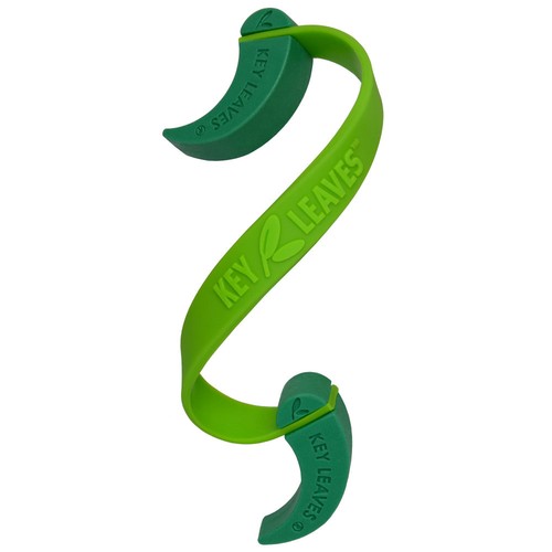 Key leaves sax - leaves,