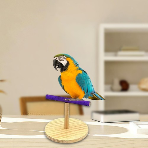 Parrot play stand gym - stand,