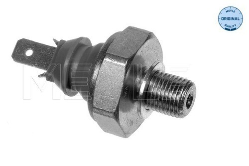 100 919 0029 meyle oil - 100,