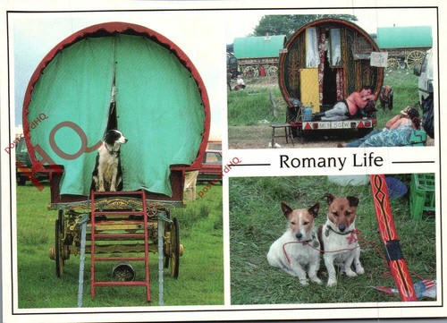 Picture postcard romany life - picture, postcard:-romany