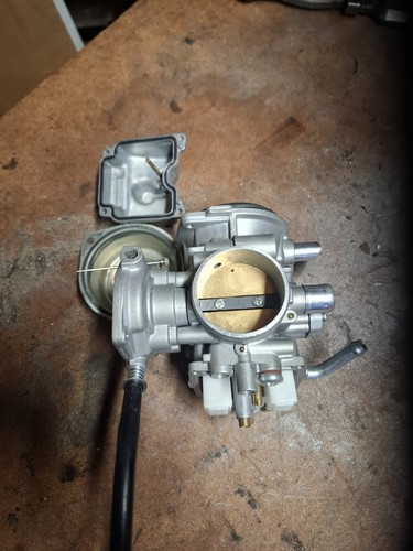 Quadzilla dinli 450 carb - 450,