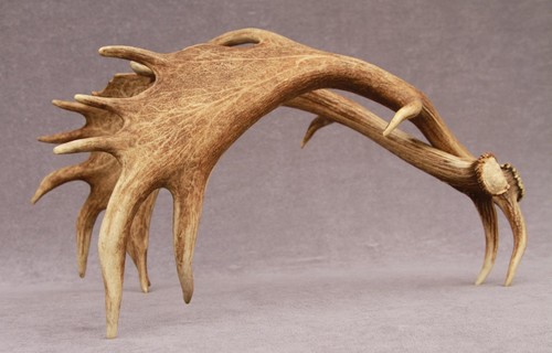 Naturally shed set fallow - shed,