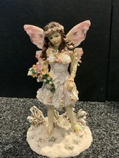 The Leonardo Collection The