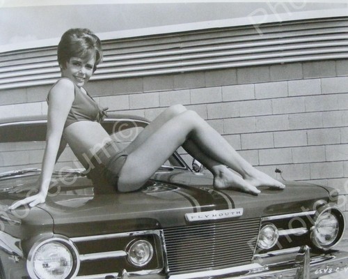 Plymouth barracuda automobile - plymouth,