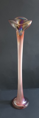 Jack the pulpit - in,