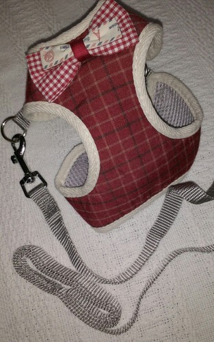 Soft stripe harness lead set - stripe,