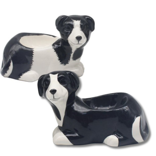 Border collie egg - border,