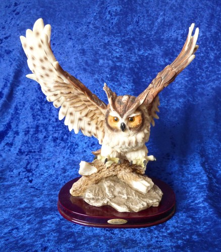 Flying owl with talons - flying,