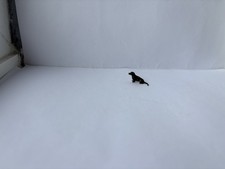 Antique Cold Painted Miniature Micro Bronze Dachshund Dog   (Lot 30)