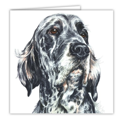 English setter greetings card - setter,