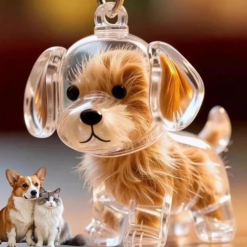 Dog hair collector keychain - collector,