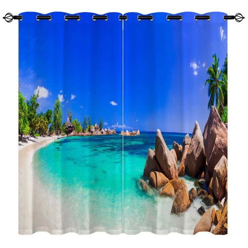 Palm tree tropical beach - tree,