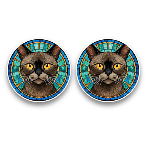 Small burmese cat - small,