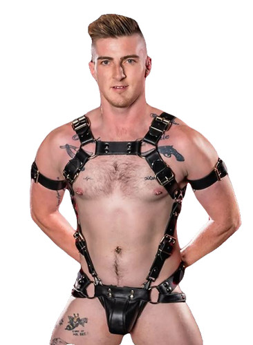 Men full body harness - harness,