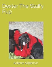 Dexter The Staffy Pup by