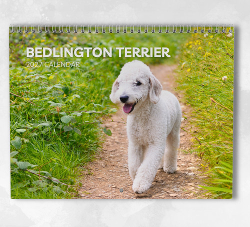 Bedlington terrier calendar - bedlington,