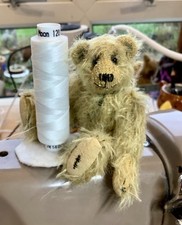 Miniature teddy bear Alfie