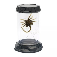 Regal Cinema Exclusive Facehugger New Alien Romulus 2024 Light Up Popcorn Bucket