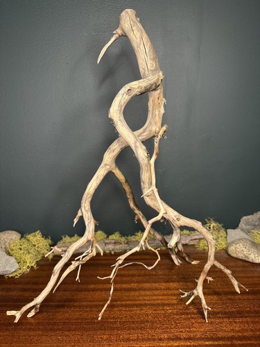 Large manzanita - large, 20”