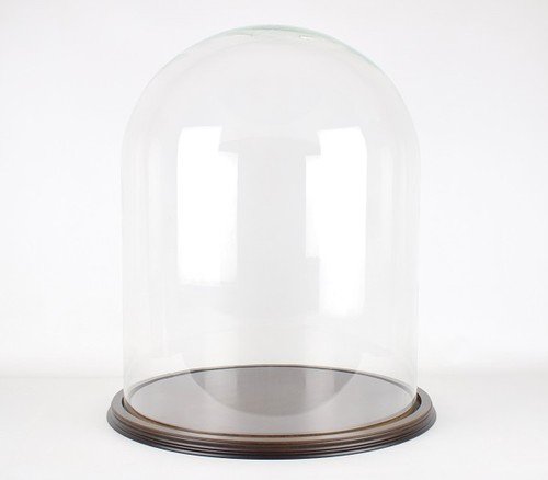 Glass dome vintage large - glass,