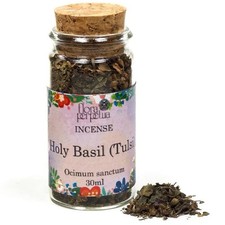 Holy Basil (Tulsi) herbal