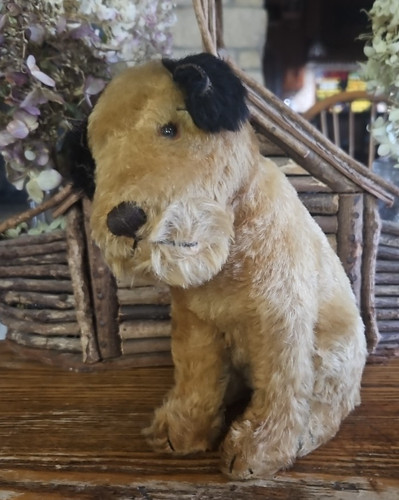 1920 steiff mohair - 1920's,