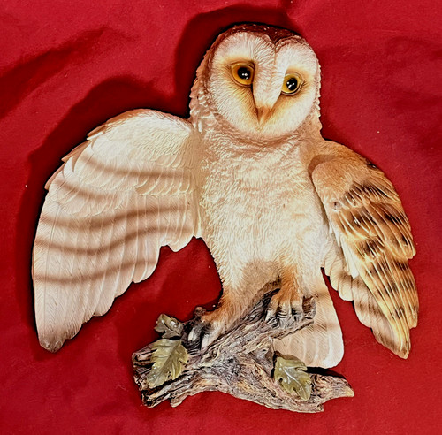 Rare vivid arts barn owl - rare,