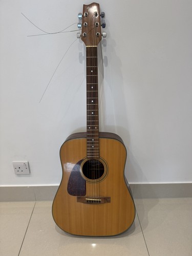 Fender 210 classic left - fender, lh