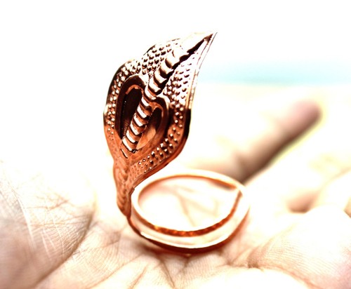 Copper nag hindu naag - hindu, snake