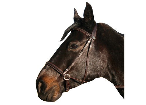 Horse bitless bridle - bitless, **end