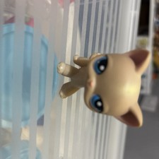 Littlest Petshop Short Haired