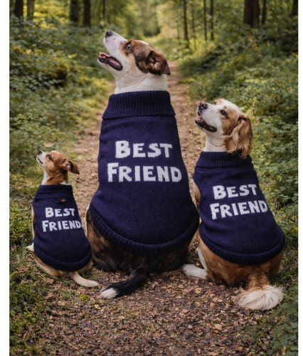 Bella freud dog - bella, navy