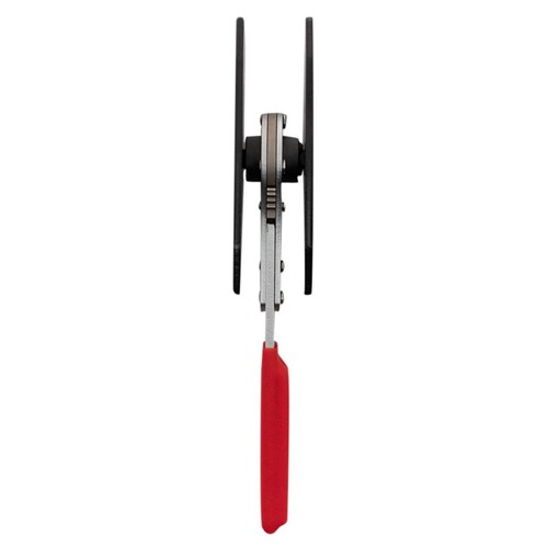 Ratcheting disc brake - disc,