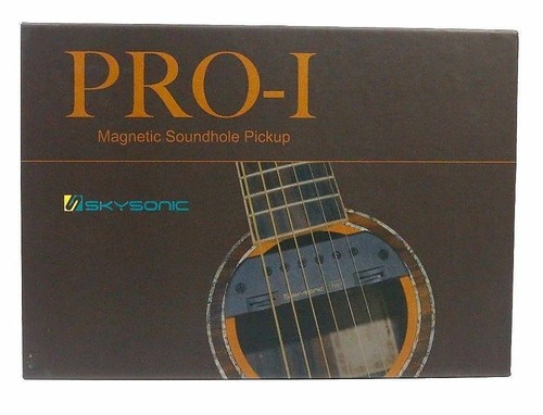Skysonic acoustic guitar - skysonic,