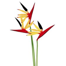 Eco Bird of Paradise Stems - Artificial Strelitzia Tropical Flowers Real Touch