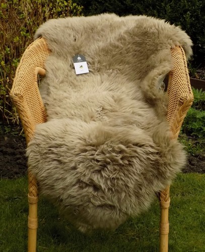Extra large light taupe - xl,