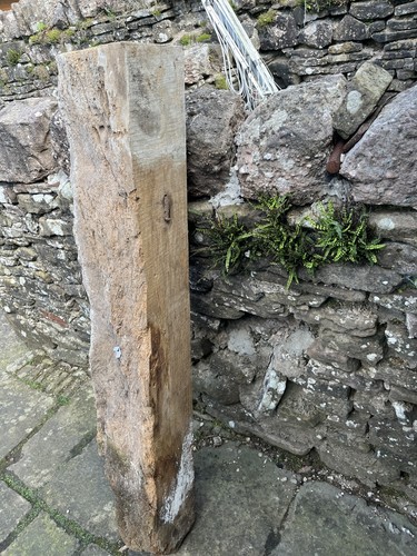 Reclaimed solid pine - ,