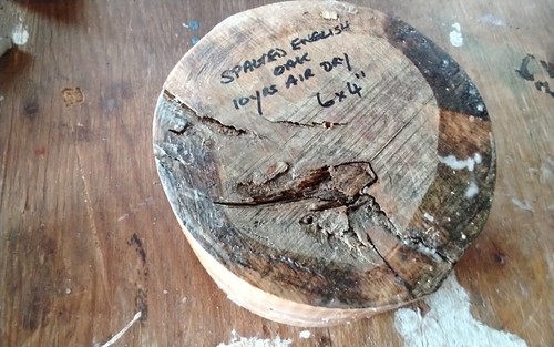 Spalted english oak - oak, years