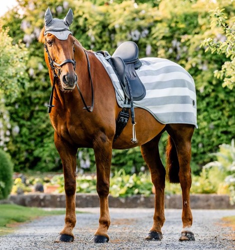 Horseware newmarket exercise - horseware,