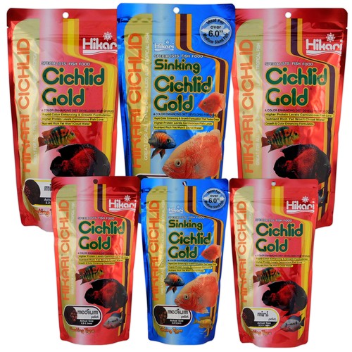 Hikari cichlid gold - cichlid,
